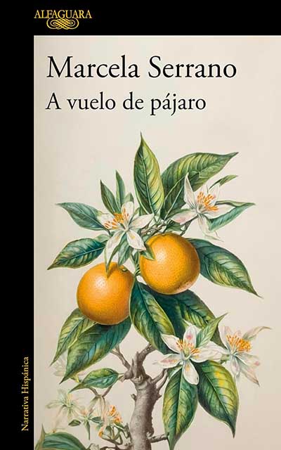 a-vuelo-de-pajaro-marcela-serrano Marcela Serrano